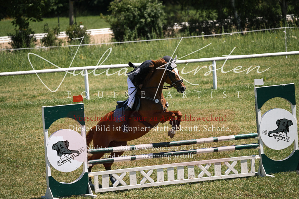 DSC_9977 | Pferde- und Turnierfotografie in Westsachsen. Pferdeportraits, Auftragszeichnungen und intuitive Kunst.
