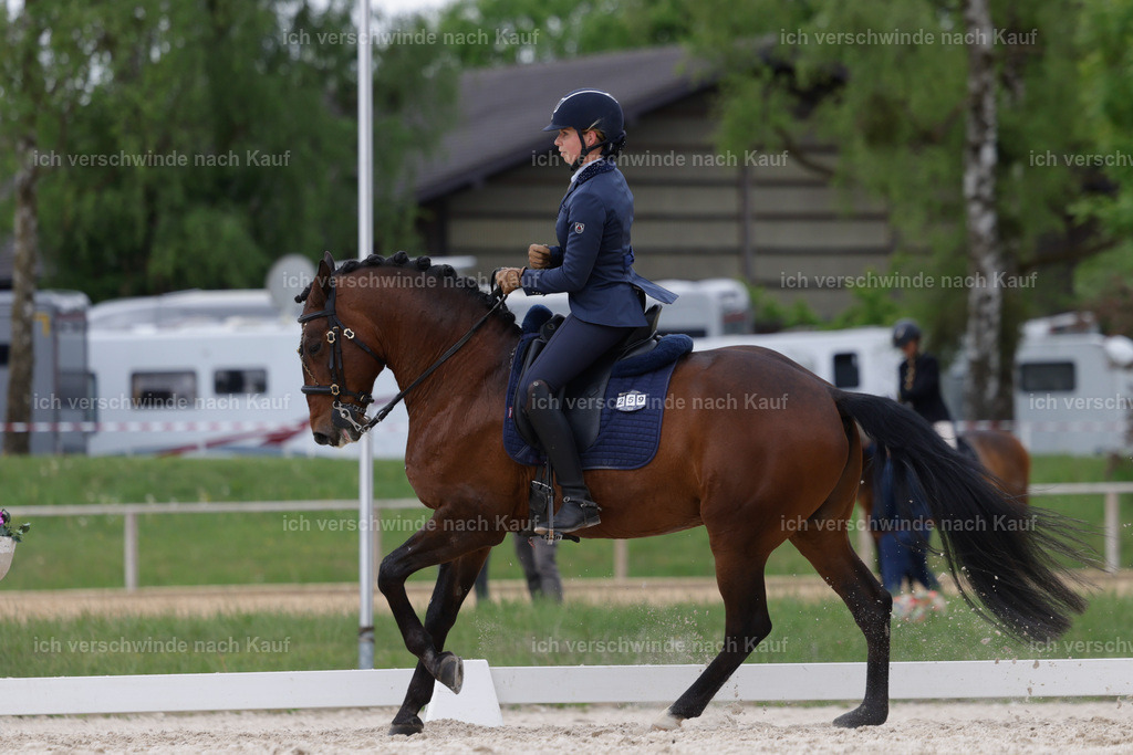 PI26_DR_259_Stoibphotography_AM10832.jpg | working equitationturnier fotograf videograf stoibphotography marixx film working equitation deutschland reitsport turnierfotografie eventfotografie equestrian events