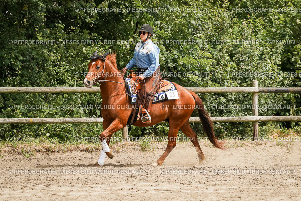 DSC00123 | Pferdegrafie