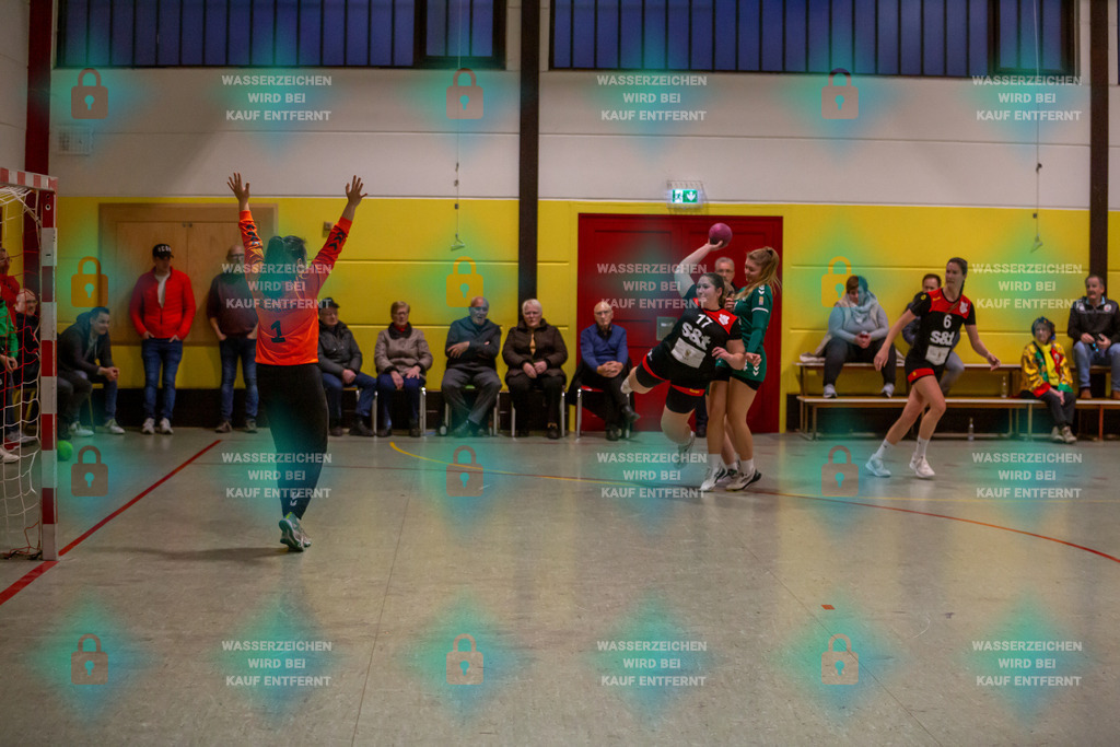 _HP_6877_3000o | TV Welling Damen vs. HSG ObereNahe 04.02.2024