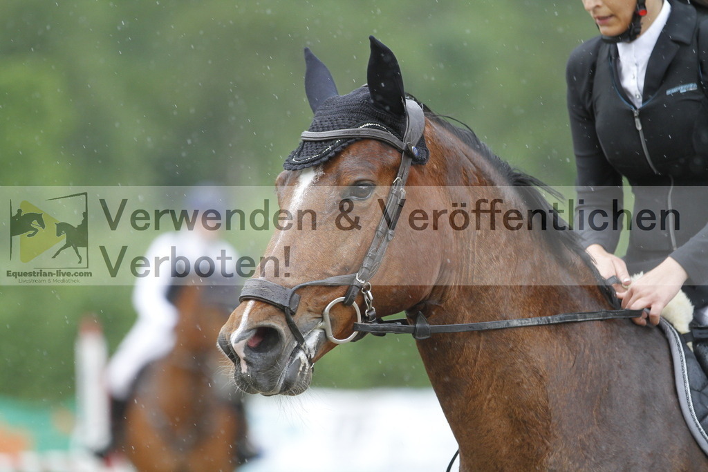 _MG_6676 | equestrian-live-com