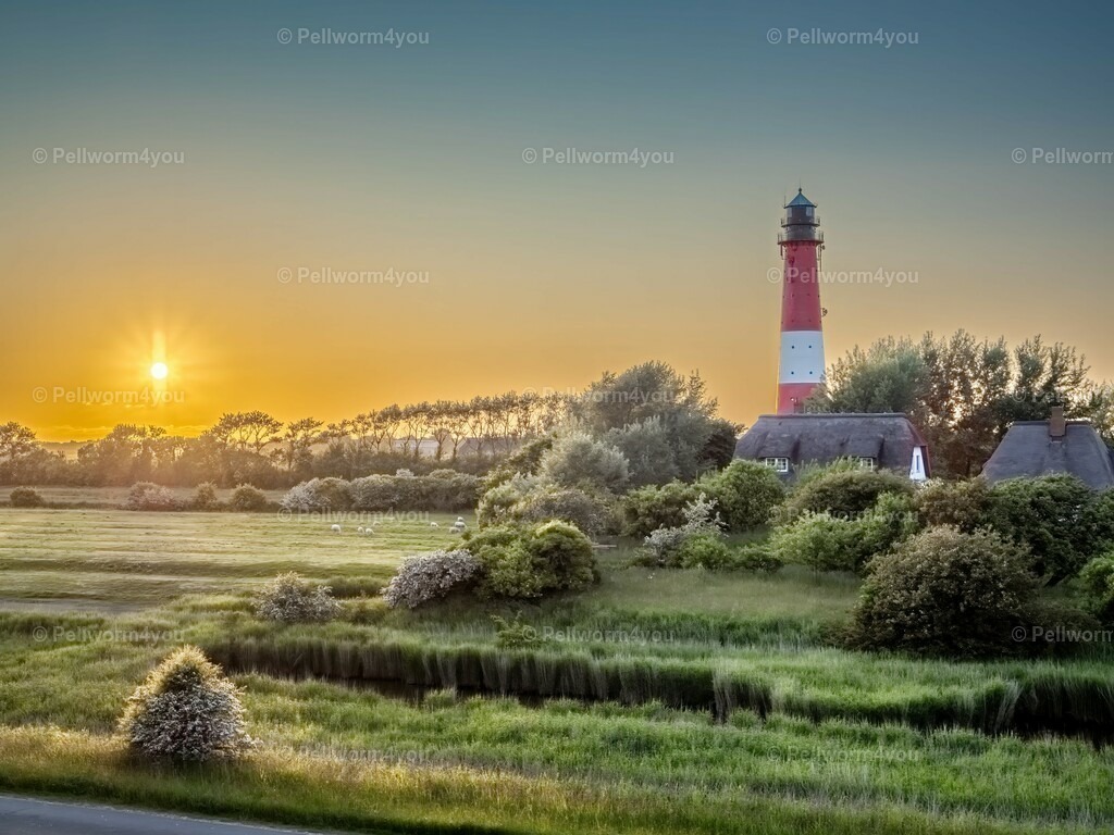 pellworm-kalender-2024-25-denoise-enhance-2x-sharpen | Pellwormer Bilder und Fotos als Poster, auf Leinwand mit Keilrahmen, hinter Acrylglas, auf Alu-Dibond oder Forex-Platte und vieles mehr. Zum verschenken, für die Ferienwohnung oder für zu Hause. - Realisiert mit Pictrs.com