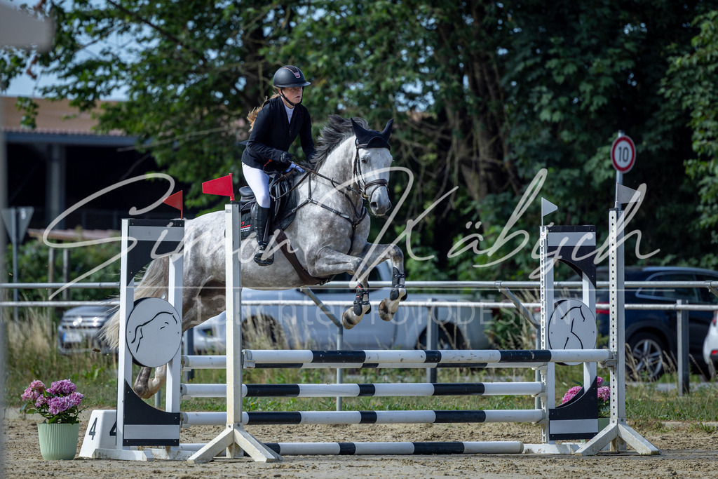 20260704-_3LI7093 | Tierfotografie Pferde, Hunde, Katzen, Haustiere.
Turnierfotografie Reitturniere, Reiten, Springreiten, Dressur in Hanau, dem Main-Kinzig-Kreis und dem Rhein-Main- Gebiet um Frankfurt
