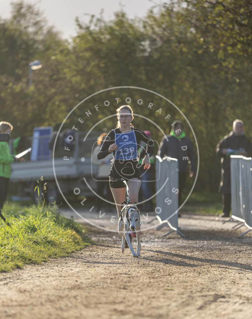 Pfotenfotografie.de_DV3A2976 | Hundefotografie, Tierfotograf, Pfotenfotografie, Fotoshooting Hund, Hunde Portrait, Hundesport, Hundeportraits, Heideshooting, Hunde, Sportfotograf, Hundefotograf, Turnierhundsport, THS, canicross - Realisiert mit Pictrs.com