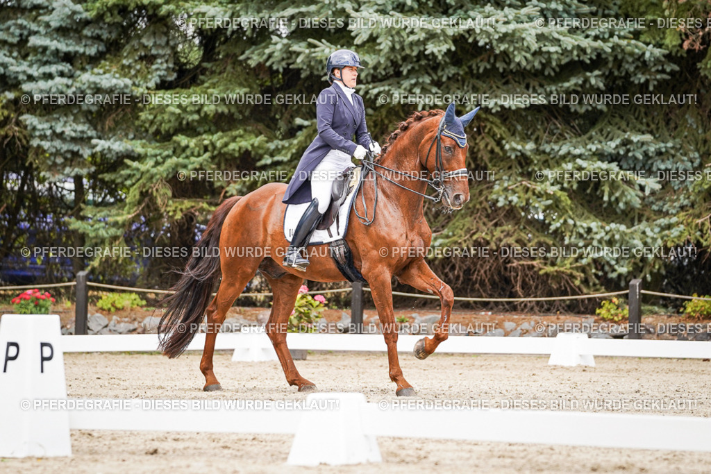 DSC05842 | Pferdegrafie