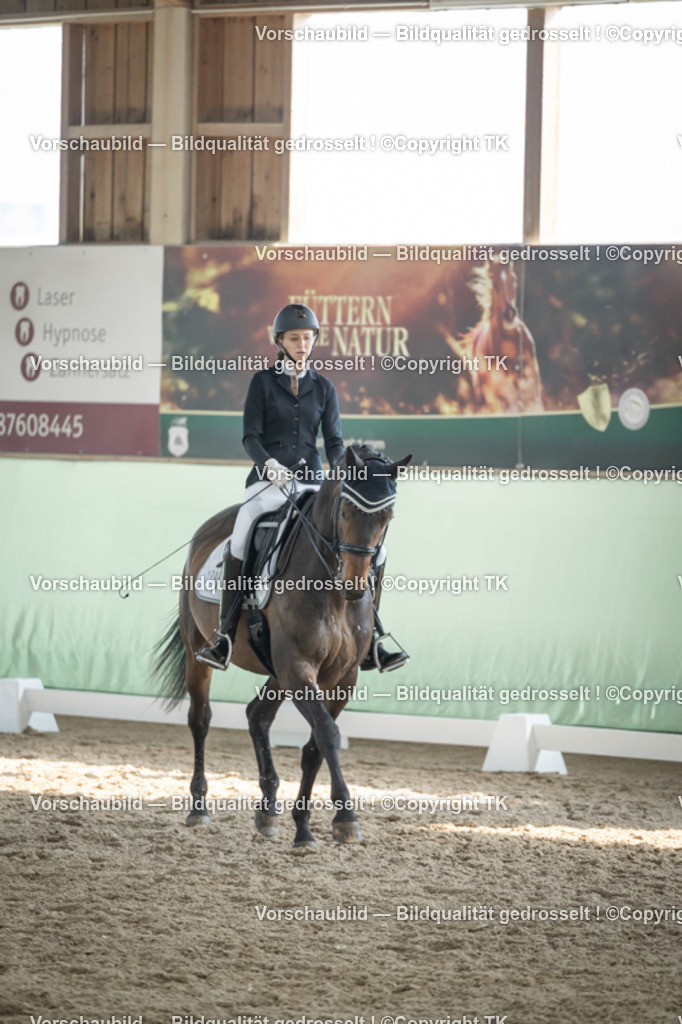 _D5A2922 | Emotionale Pferde- & People-Fotografie rund um Heidelberg, Leimen & Umgebung. Natürliche Fotos von Pferd, Mensch & Familie. Jetzt Termin sichern!