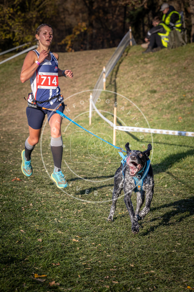 CaniXpix_0L8A9543 | Hundefotografie, Tierfotograf, Pfotenfotografie, Fotoshooting Hund, Hunde Portrait, Hundesport, Hundeportraits, Heideshooting, Hunde, Sportfotograf, Hundefotograf, Turnierhundsport, THS,  - Realisiert mit Pictrs.com