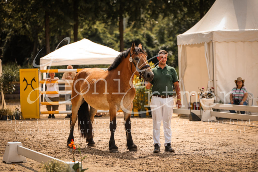 2.Sa00102 | Leoni Ertmer Photography - Realisiert mit Pictrs.com