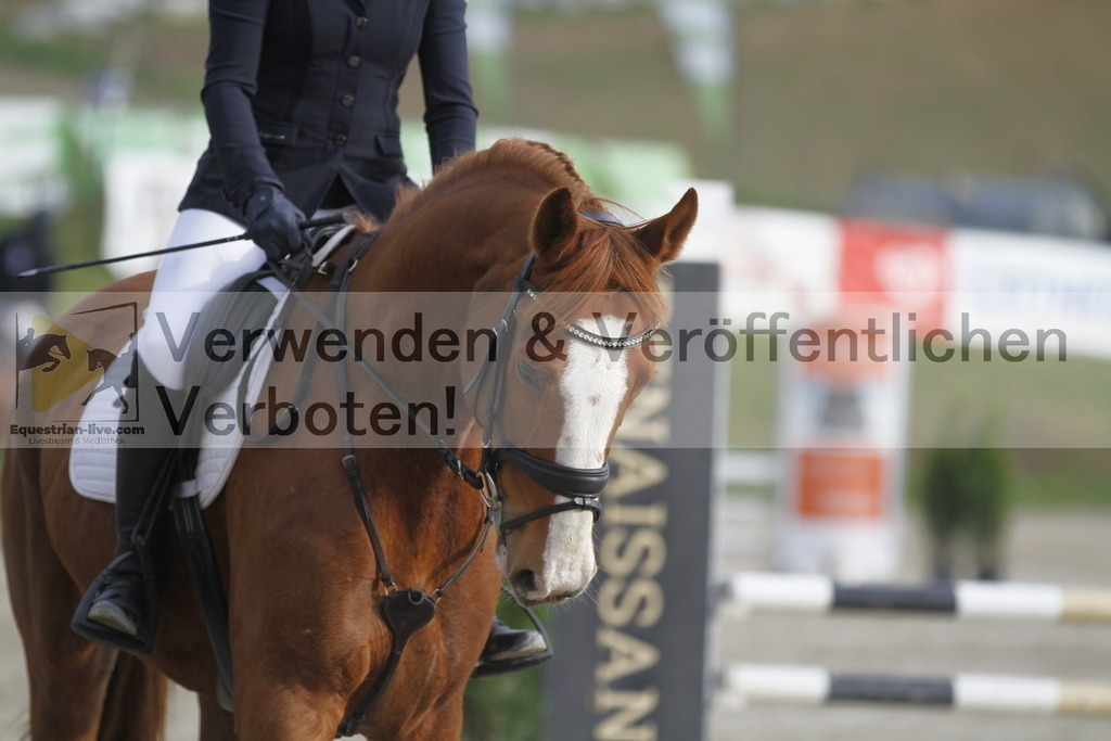 _MG_3847 | equestrian-live-com