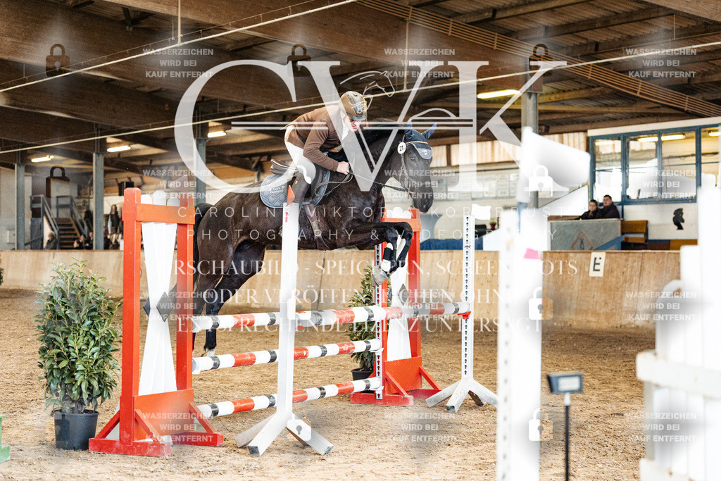CK905330 | Turnierfotografie Pferdefotografie Trier Rheinland-Pfalz Pferdesport Reitsport Tierfotografie Sportfotografie Pferdevideo Pferdevideografie Equestrianvideography equestrianphotography  - Realisiert mit Pictrs.com
