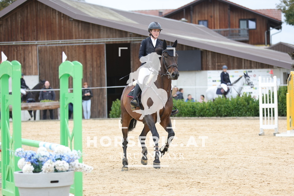 0P6A2750 | Willkommen bei Brunnmayr - Design & Fotografie – Ihrem Spezialisten für Reitturniere und Pferdeveranstaltungen in Oberösterreich, Salzburg und Bayern! Seit über 17 Jahren sind wir leidenschaftlich dabei.