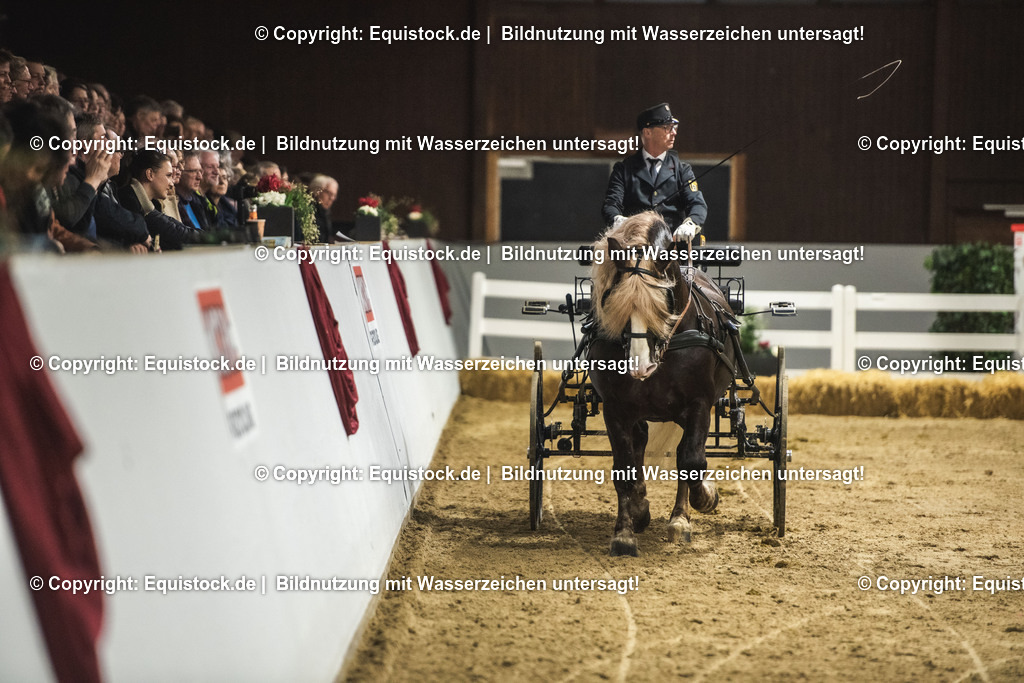 20240302_Hengstvorstellung_Marbach_TOMsPiC_0620 | equistock
