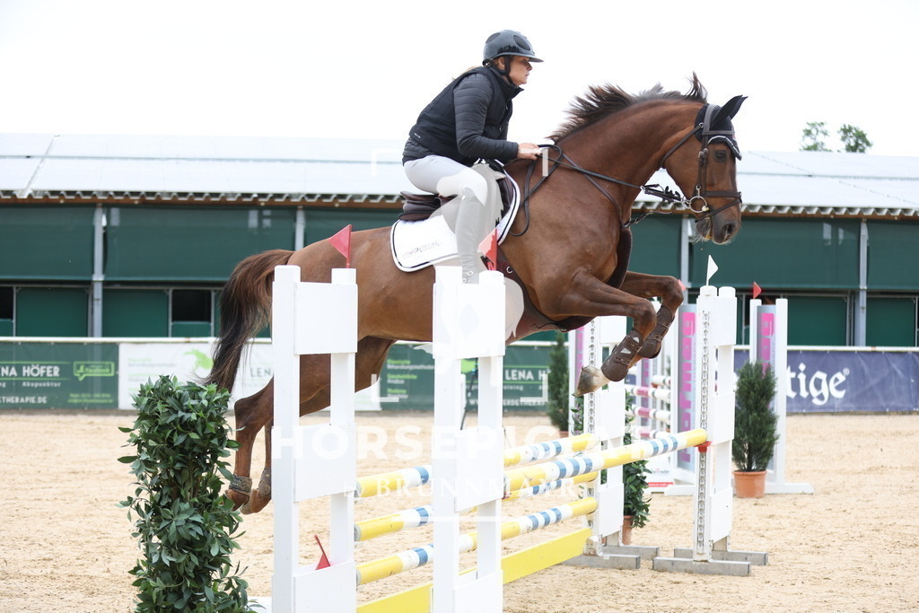 0P6A5345 | Willkommen bei Brunnmayr - Design & Fotografie – Ihrem Spezialisten für Reitturniere und Pferdeveranstaltungen in Oberösterreich, Salzburg und Bayern! Seit über 17 Jahren sind wir leidenschaftlich dabei.
