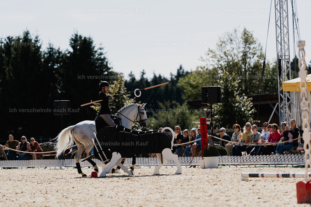 Virginie12FHC2025-08590 | working equitationturnier fotograf videograf stoibphotography marixx film working equitation deutschland reitsport turnierfotografie eventfotografie equestrian events