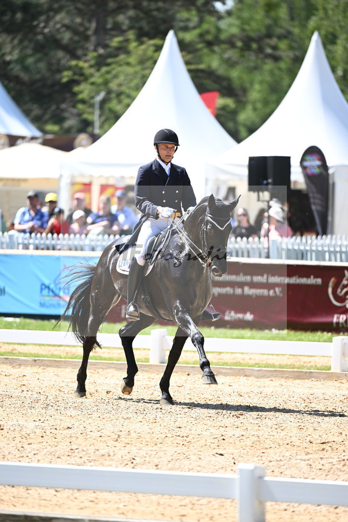 Spatz_Walentina_12246291 | hf-fotografie - Realisiert mit Pictrs.com