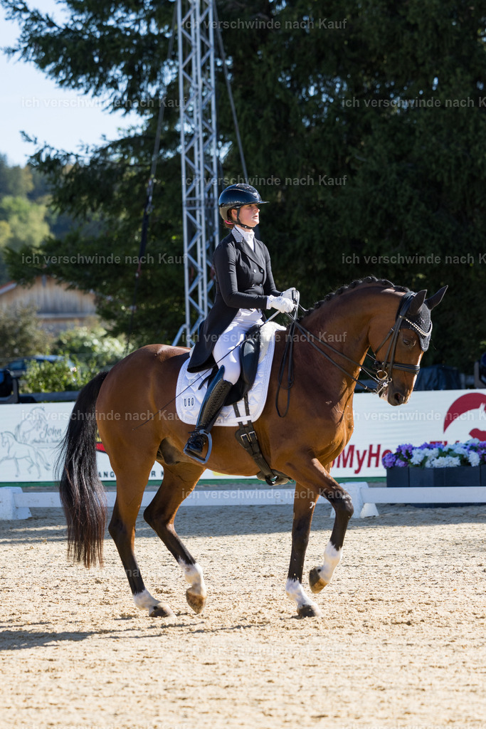 FHC2026_P07_80_17417 | working equitationturnier fotograf videograf stoibphotography marixx film working equitation deutschland reitsport turnierfotografie eventfotografie equestrian events