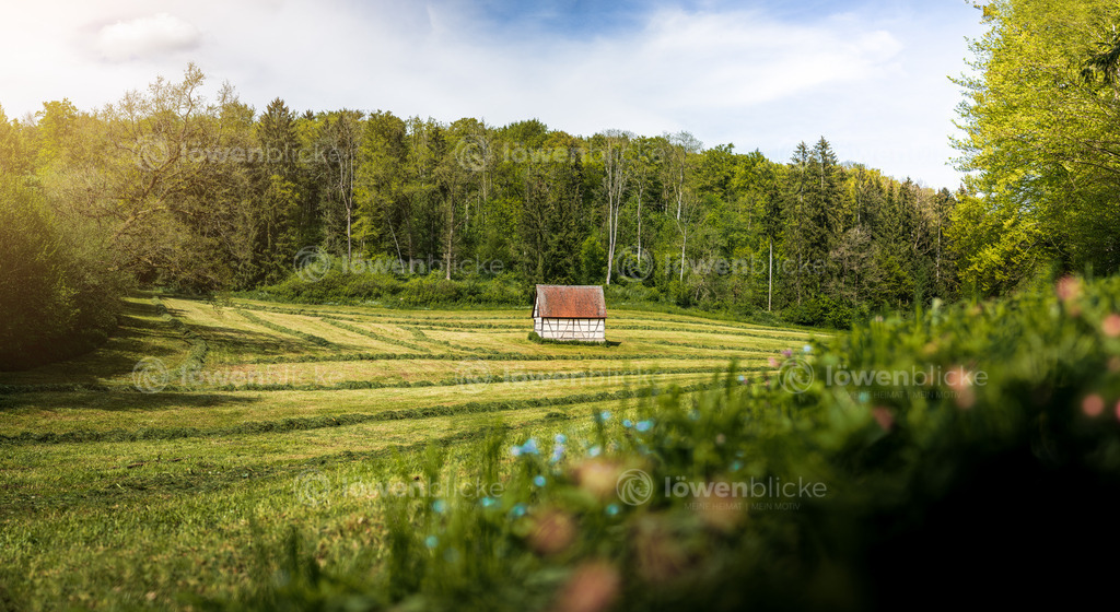 Vögelestal bei Geislingen-Türkheim | löwenblicke | shop