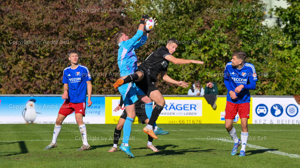 SpVg Eidertal Molfsee vs Eckernförder SV | Fynn Mohr (Molfsee #1) / Christian Peters (ESV #30) - Fußball-Oberliga Männer 2024/2025 / SpVg Eidertal Molfsee vs Eckernförder SV / Platz A / Molfsee / 03.10.24 - Realisiert mit Pictrs.com