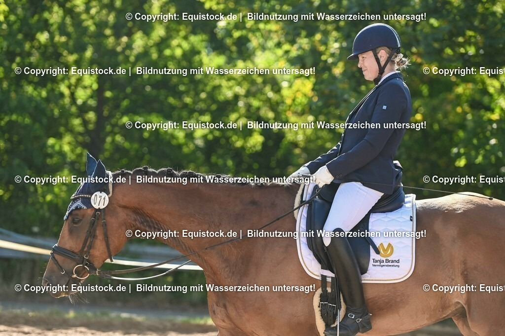 20230715_06_Dressurpferdeprfg. Kl.A_0226 | equistock