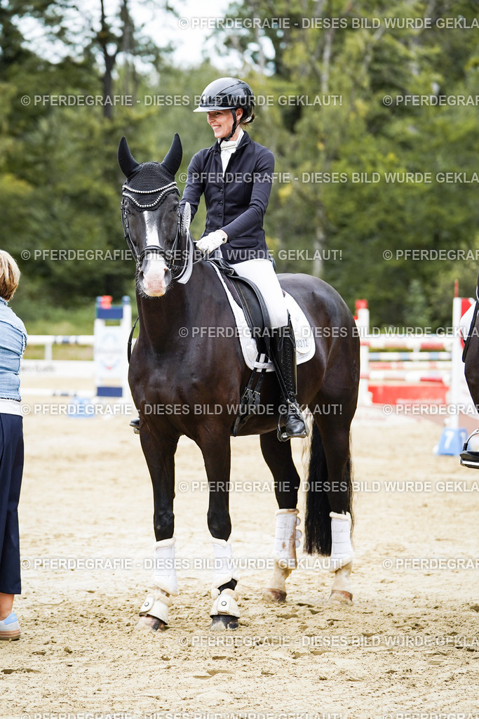 DSC02405 | Pferdegrafie