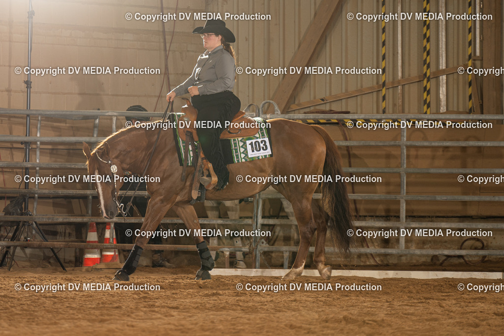 NID01525 | dv-media-shop - Realisiert mit Pictrs.com