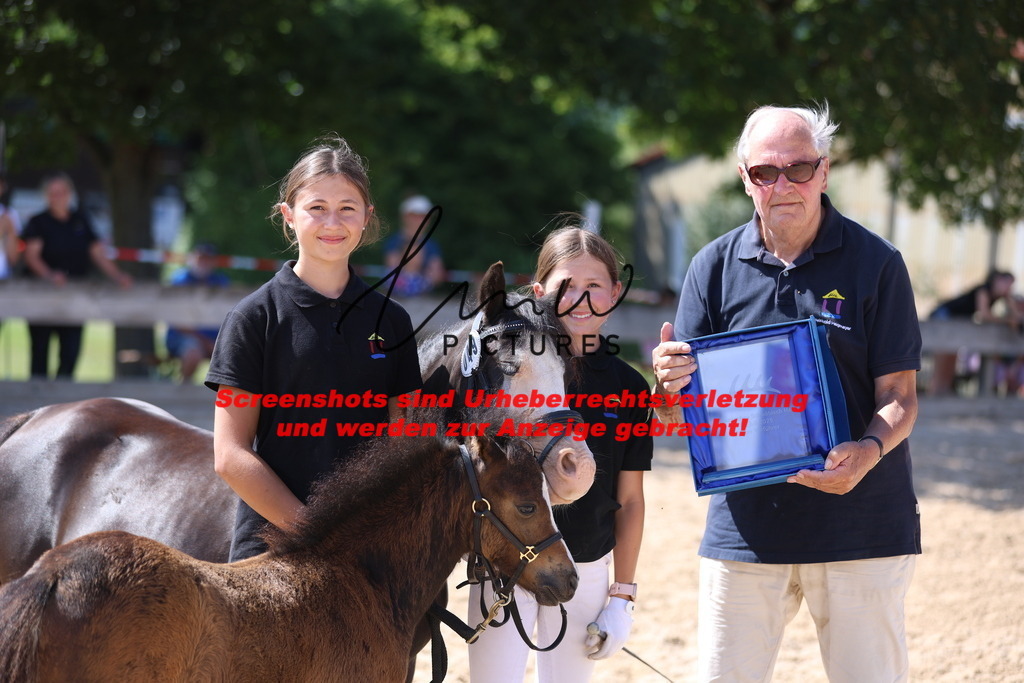 Fohlenschau_Schwäbisch_Hall_IMPRESSIONEN_24 | lmwpictures - Realisiert mit Pictrs.com