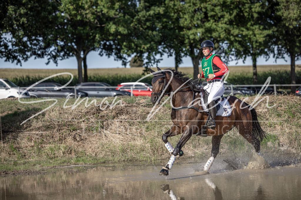 20250907-_3LI3841 | Tierfotografie Pferde, Hunde, Katzen, Haustiere.
Turnierfotografie Reitturniere, Reiten, Springreiten, Dressur in Hanau, dem Main-Kinzig-Kreis und dem Rhein-Main- Gebiet um Frankfurt