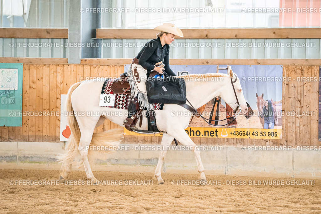 DSC00871 | Pferdegrafie