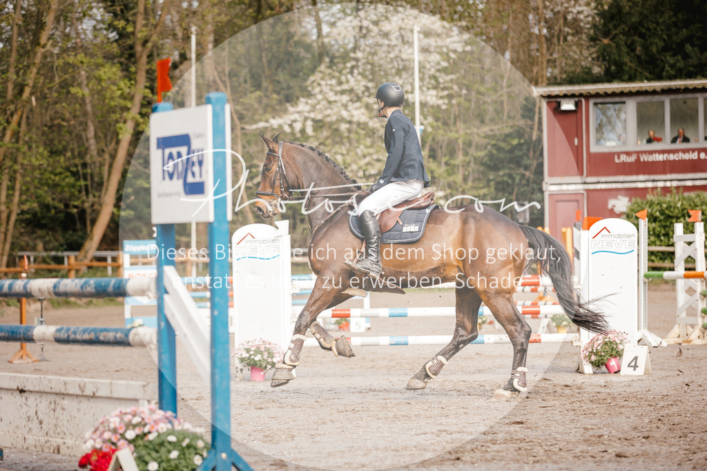 3I6A3389 | Stimmungsvolle Portraits und Reitsportfotografie im Ruhrgebiet und im Münsterland.

Pferdefotografie, Hundefotografie, Tierfotografie, Reportagen, Portraits von Tier und Mensch, Turnierfotografie in Bochum, Recklinghausen, Marl, Haltern am See, Dülmen.. - Realisiert mit Pictrs.com