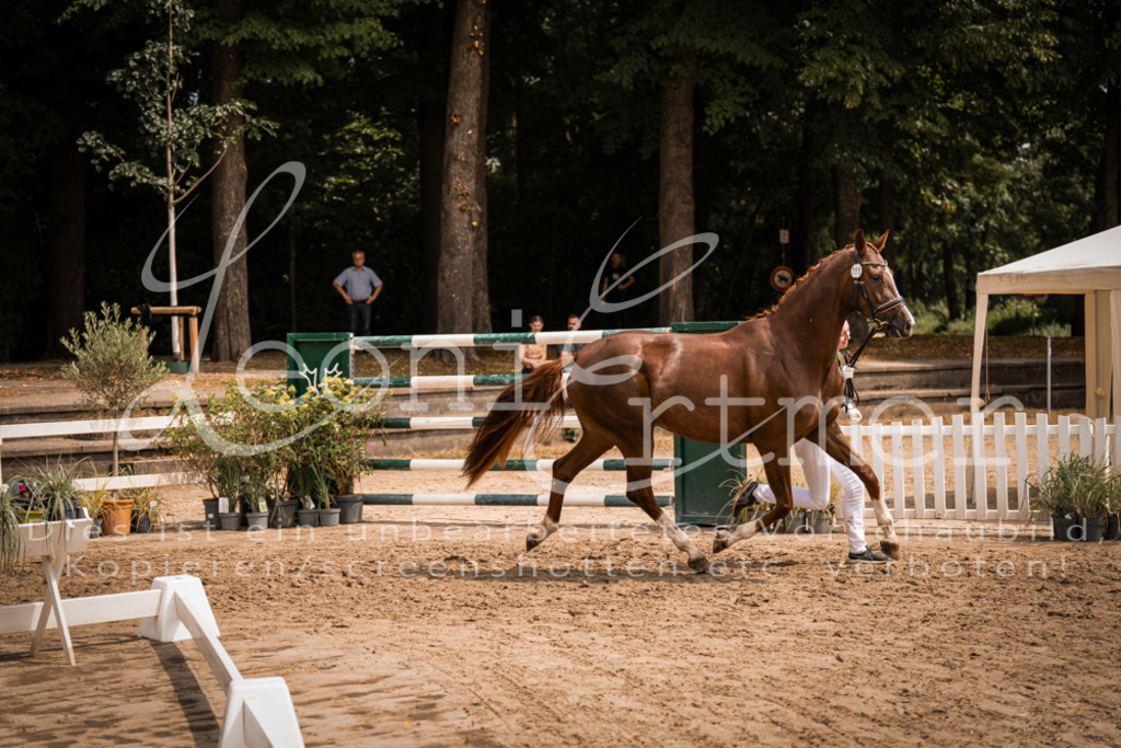 3.Fr00089 | Leoni Ertmer Photography - Realisiert mit Pictrs.com