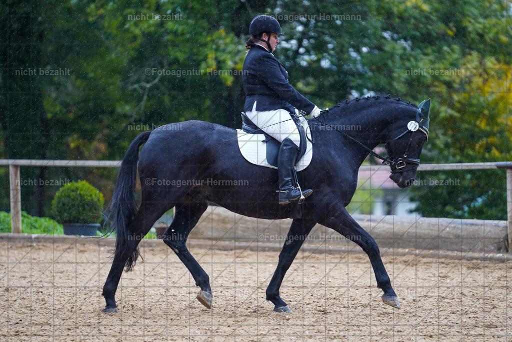 20221008-FAH02032 | Diessen am Ammersee, 2022, Dressur- und Springturnier, Reitsportbilder, Turnierfotografen Bayern, Pferdefotografen, Fotoagentur Herrmann, Turnierbilder