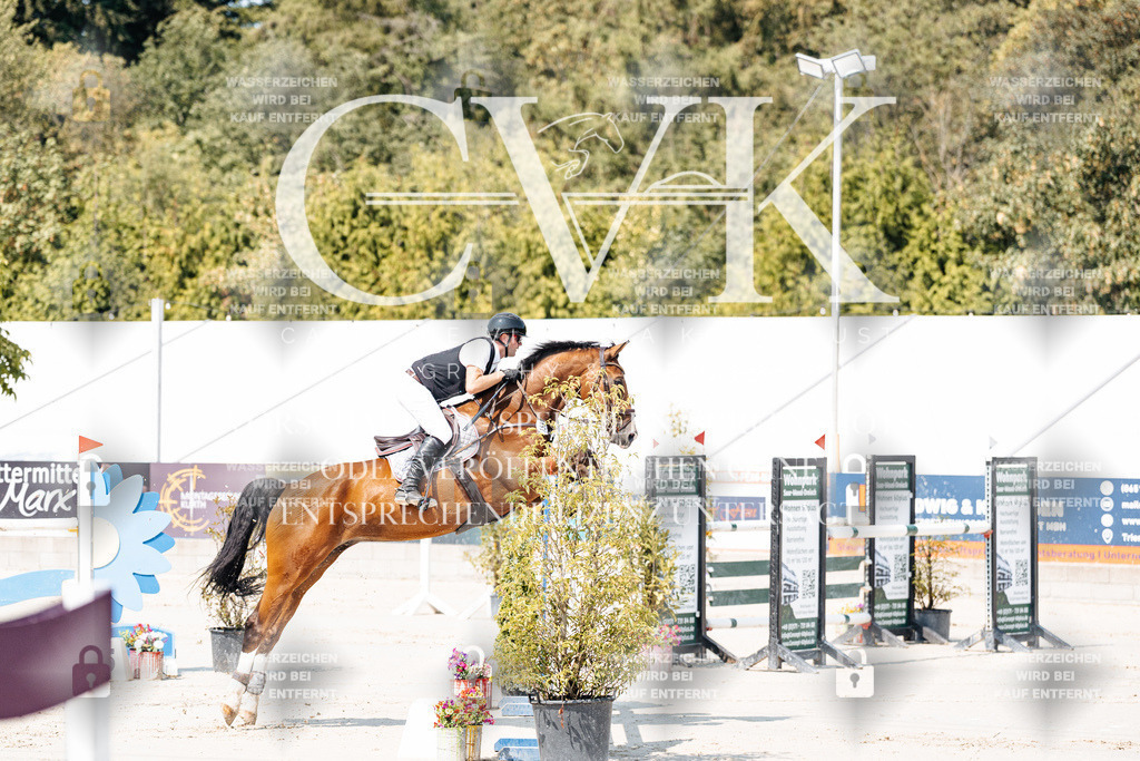 CK901195 | Turnierfotografie Pferdefotografie Trier Rheinland-Pfalz Pferdesport Reitsport Tierfotografie Sportfotografie Pferdevideo Pferdevideografie Equestrianvideography equestrianphotography  - Realisiert mit Pictrs.com