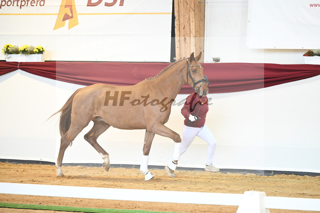 Kat-Nr. 29 v. Escamillo_Fischer_66220358 | hf-fotografie - Realisiert mit Pictrs.com