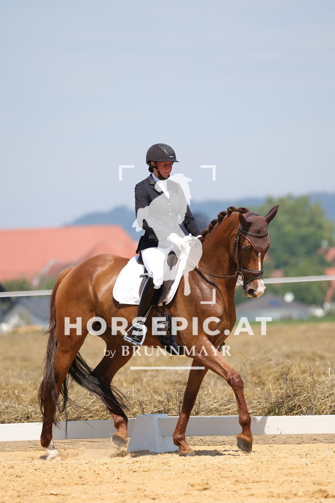 0P6A0624 | Willkommen bei Brunnmayr - Design & Fotografie – Ihrem Spezialisten für Reitturniere und Pferdeveranstaltungen in Oberösterreich, Salzburg und Bayern! Seit über 17 Jahren sind wir leidenschaftlich dabei.