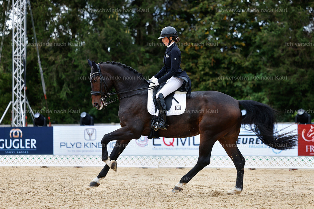 6-113-AMATUER-DRESSUR S_  -StoibPH-3625 | working equitationturnier fotograf videograf stoibphotography marixx film working equitation deutschland reitsport turnierfotografie eventfotografie equestrian events