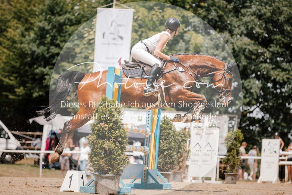 3I6A7812 | Stimmungsvolle Portraits und Reitsportfotografie im Ruhrgebiet und im Münsterland.

Pferdefotografie, Hundefotografie, Tierfotografie, Reportagen, Portraits von Tier und Mensch, Turnierfotografie in Bochum, Recklinghausen, Marl, Haltern am See, Dülmen.. - Realisiert mit Pictrs.com