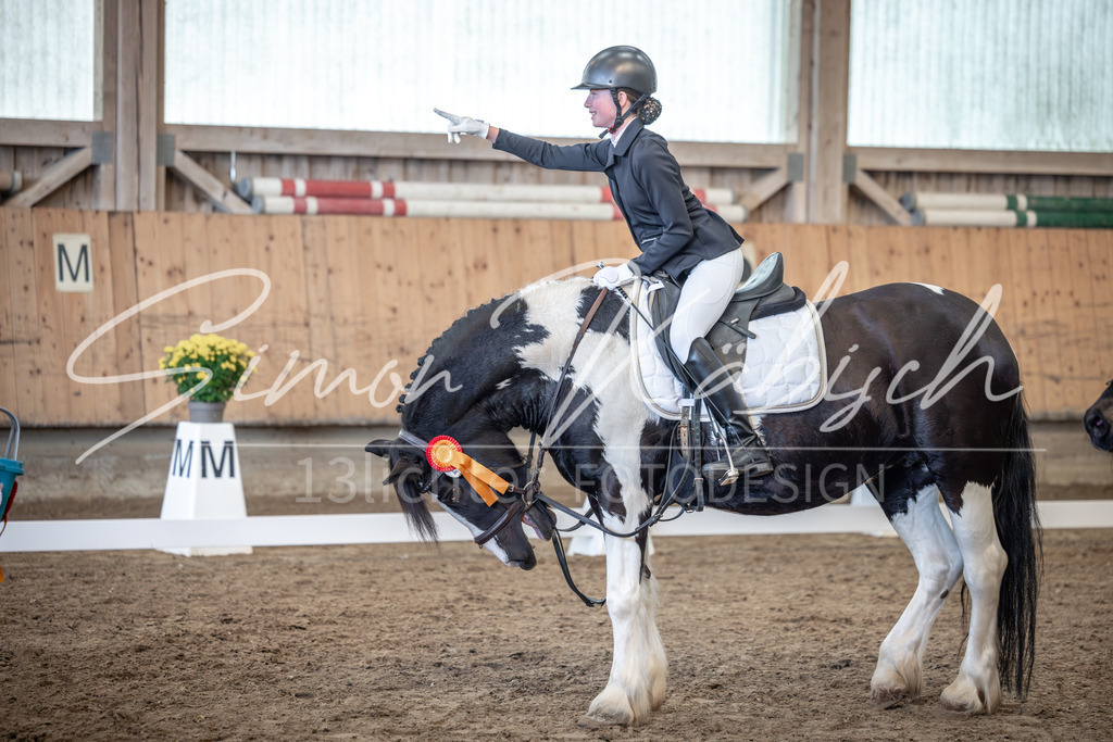 20251011-_3LI8062 | Tierfotografie Pferde, Hunde, Katzen, Haustiere.
Turnierfotografie Reitturniere, Reiten, Springreiten, Dressur in Hanau, dem Main-Kinzig-Kreis und dem Rhein-Main- Gebiet um Frankfurt