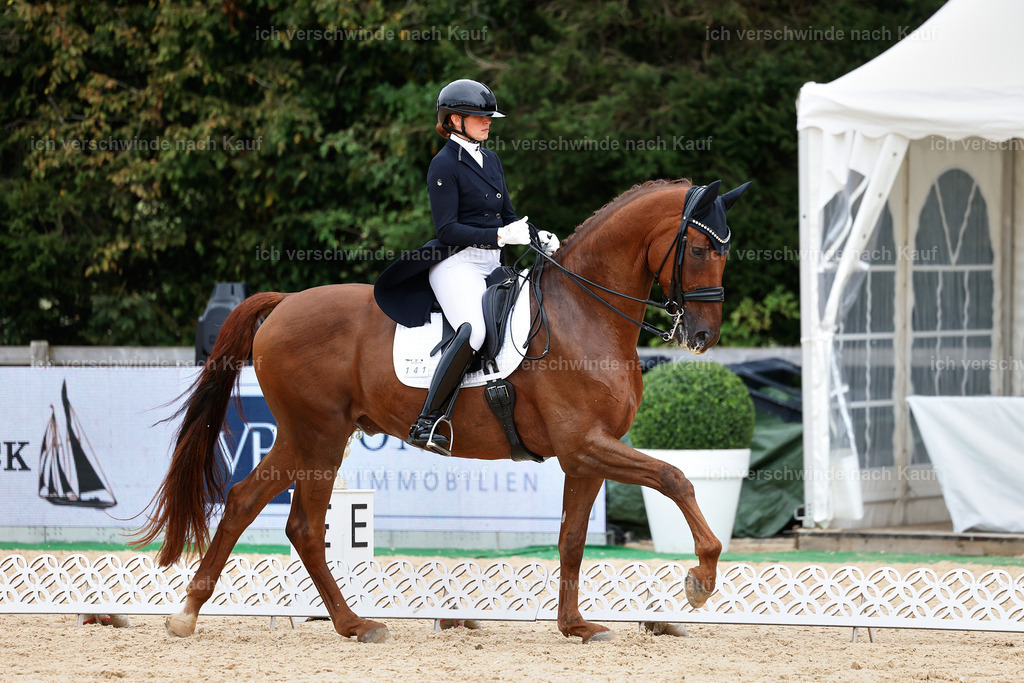 11-141-Dressur S___-StoibPH-855 | working equitationturnier fotograf videograf stoibphotography marixx film working equitation deutschland reitsport turnierfotografie eventfotografie equestrian events