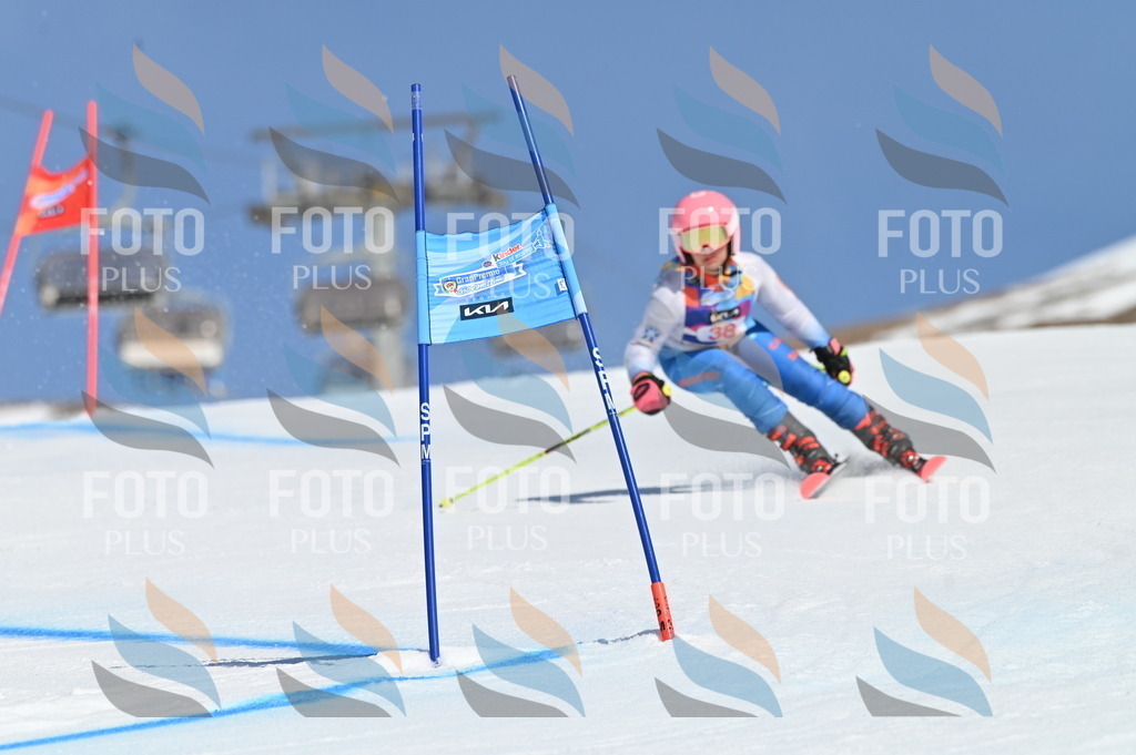 BGV_8308 | holidayphoto