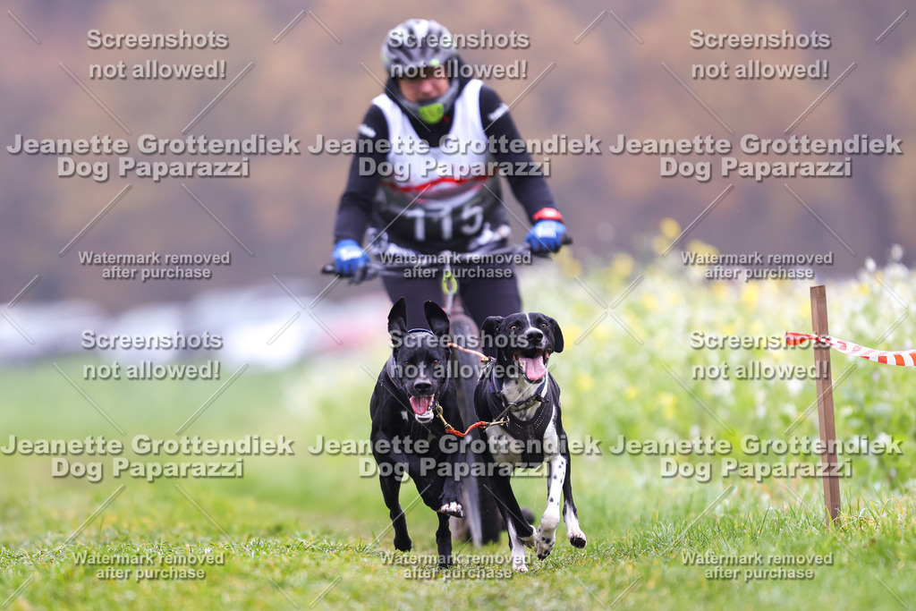 Dog Paparazzi - Visbeck 25 -103 | Dog Paparazzi Jeanette Grottendiek Fotografie & Videografie