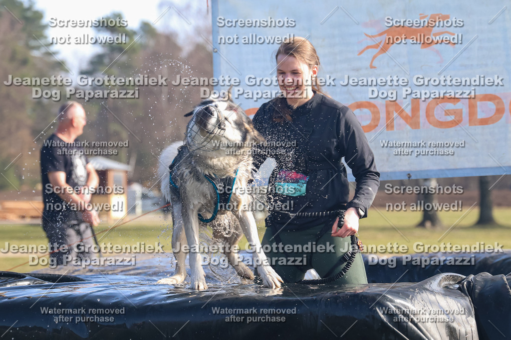Dog Paparazzi - Strongdog North Mrz26-948 | Dog Paparazzi Jeanette Grottendiek Fotografie & Videografie - Realisiert mit Pictrs.com