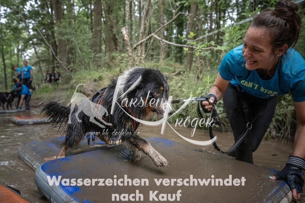 1254_ZZ91526T | kk-dogfotos