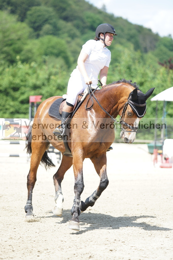 DSC00618 | equestrian-live-com