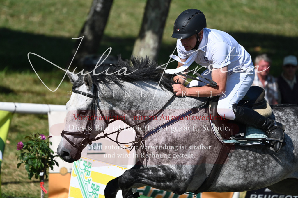 DSC_1879 | Pferde- und Turnierfotografie in Westsachsen. Pferdeportraits, Auftragszeichnungen und intuitive Kunst.