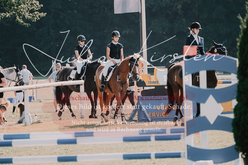 DSC_4884 | Pferde- und Turnierfotografie in Westsachsen. Pferdeportraits, Auftragszeichnungen und intuitive Kunst.