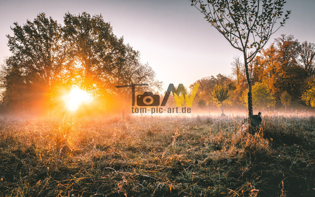 Herbstlicher Sonnenaufgang | Hochauflösende und hochwertige Bilder und Fotos.Kommerzielle oder private Nutzung ✔ Bilder downloaden✔ Acryl ✔ Leinwand ✔ Poster ✔
 - Realisiert mit Pictrs.com