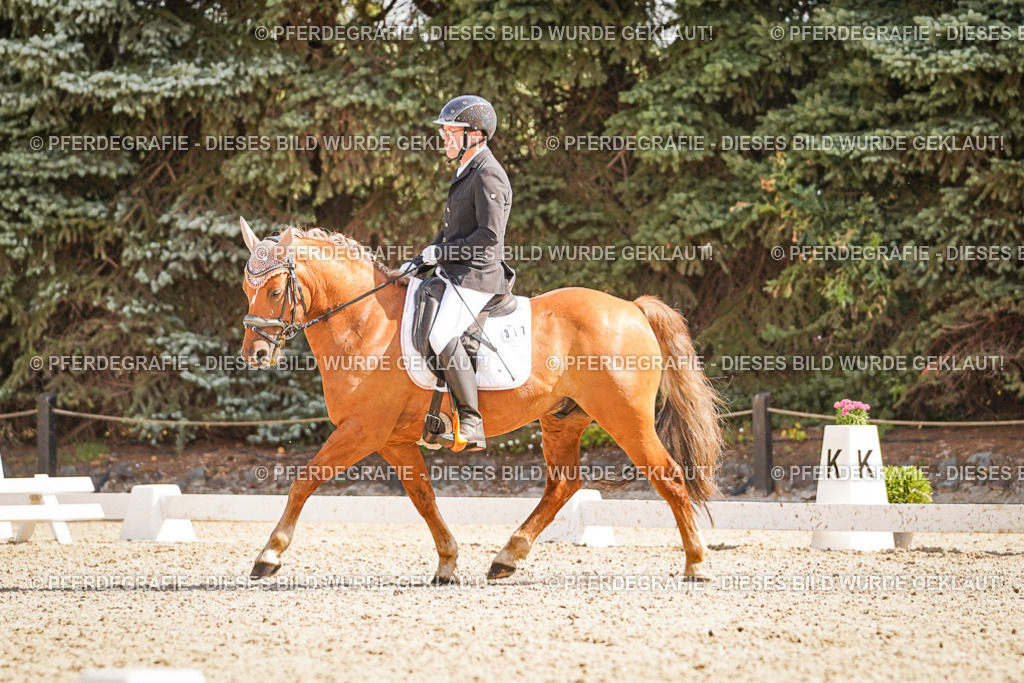 DSC00727 | Pferdegrafie