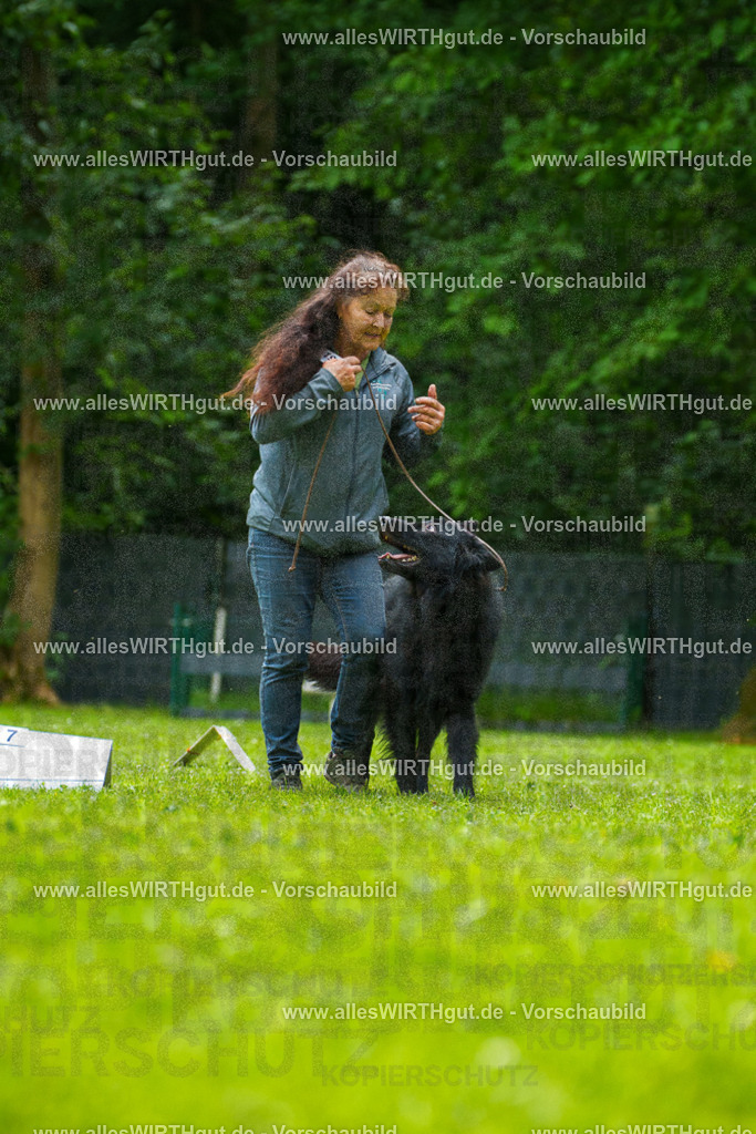@allesWIRTHgut_Tierfotografie - www.allesWIRTHgut.de - 7R501681 | Professionelle Tierfotografie in Mönchengladbach von Daniel Wirth (allesWIRTHgut). Liebevolle & natürliche Bilder von Hunden & Katzen für unvergessliche Erinnerungen.