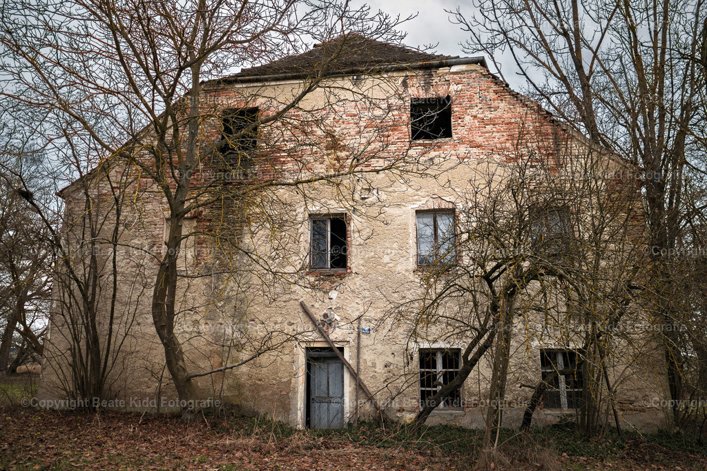 P1900777 | beatekidd-fotografie - Realisiert mit Pictrs.com