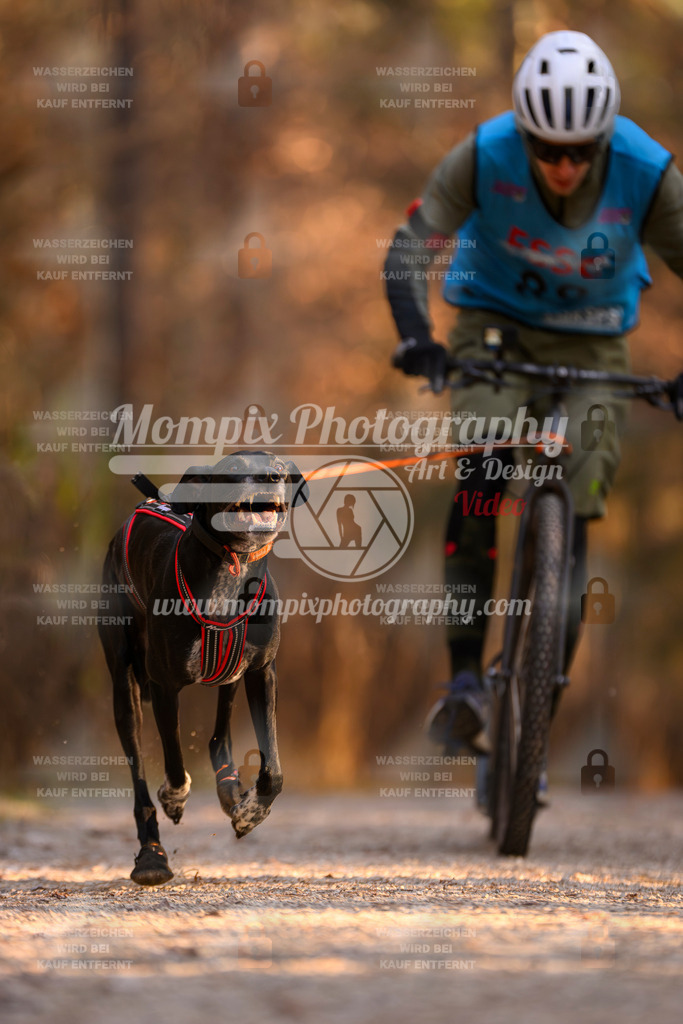 MompixPhotography_DM_AKDM_SO_2025_Scooter-133 | PayLife
